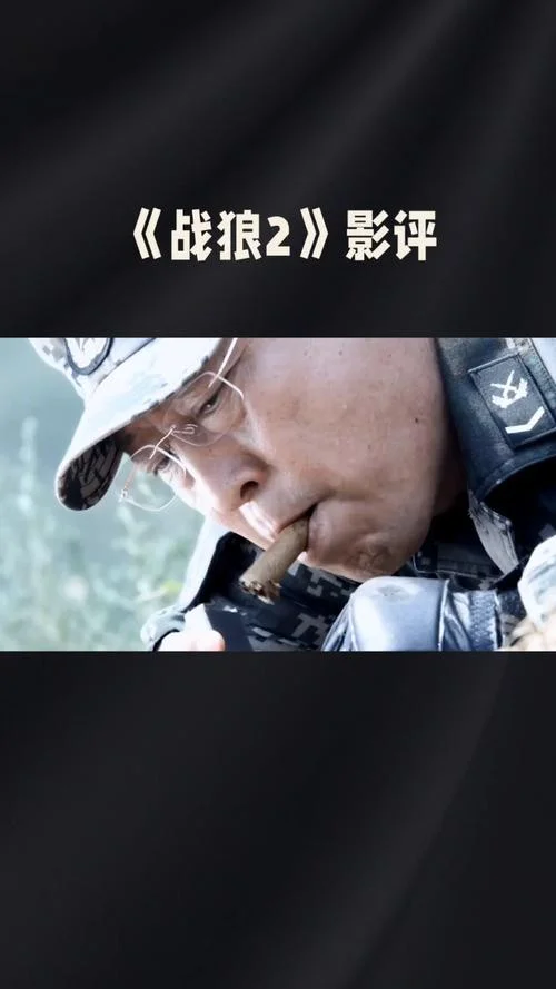 战狼2结局_2