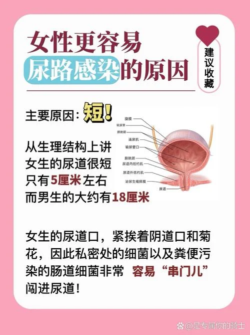 女性尿路感染反反复复怎么办_1