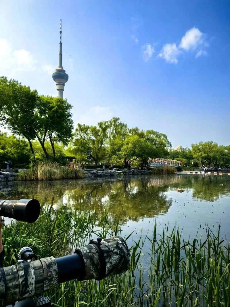春江水暖鸭先知是几月份_2