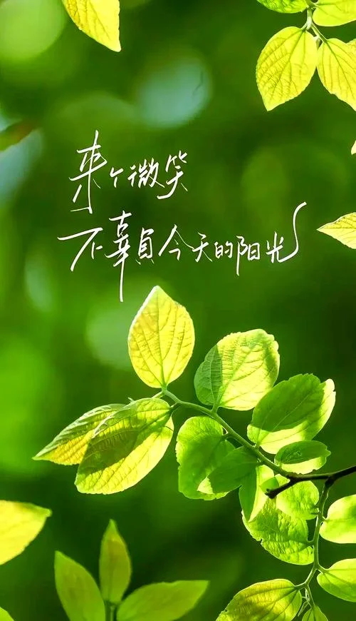 心态感悟视频-心态感悟微视频