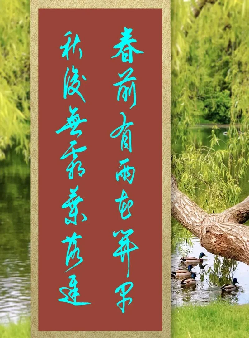 春棠经雨放下一句_1