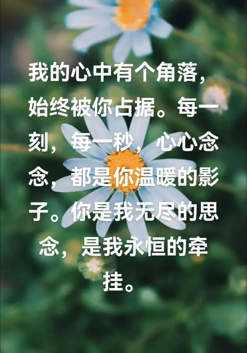 记在心里下一句是什么_1