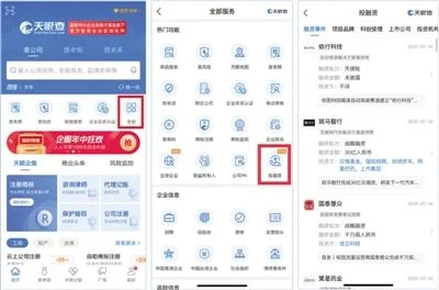 公司融资在哪里可以查_2