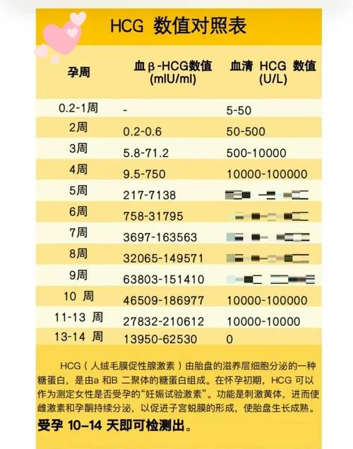 孕前检查具体项目hcg_2