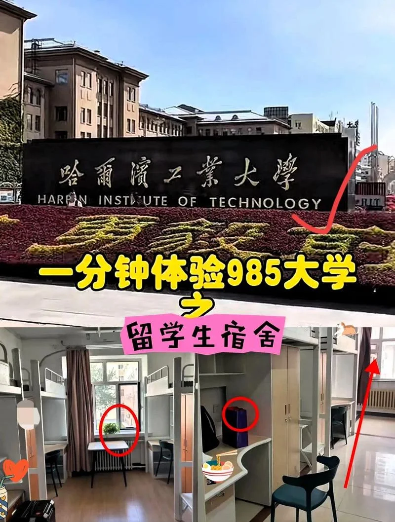 哈尔滨工业大学留学项目-哈工大留学项目