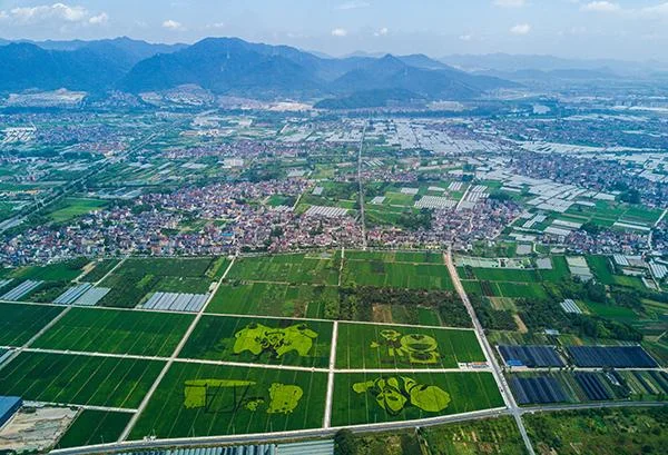 300平米是多少亩地_1