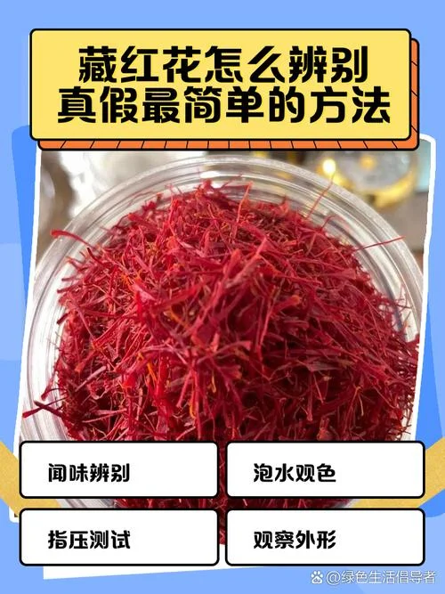 真正的藏红花出自哪里_1