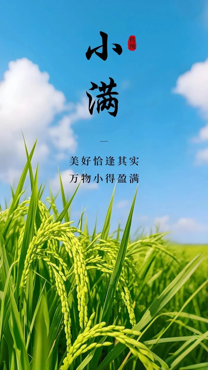 小满是哪天有什么含义_1