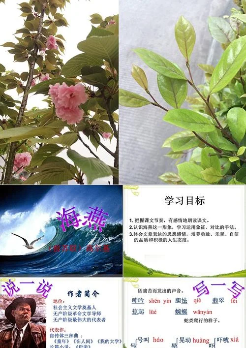 海燕作者简介_1