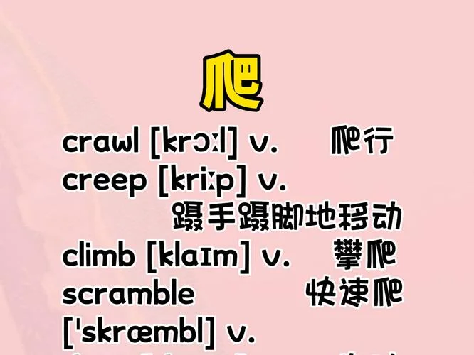 foot英语怎么读怎么写_1