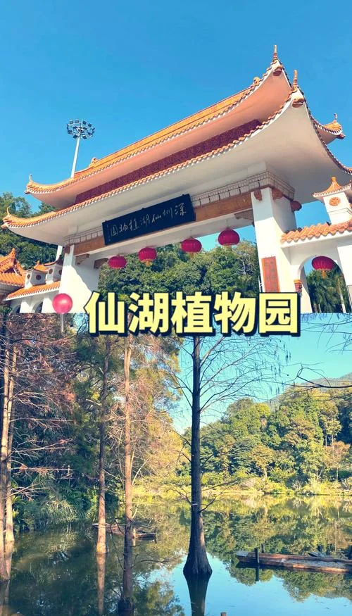 深圳两天去哪旅游景点_1