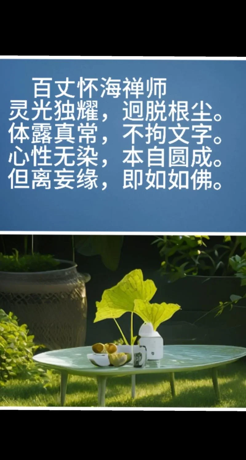 佛语禅心感悟人生句句有智慧_2