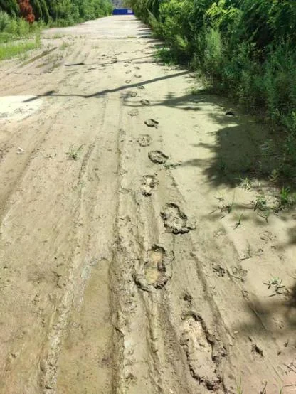 梦见自己在泥泞路里走-泥路跋涉
