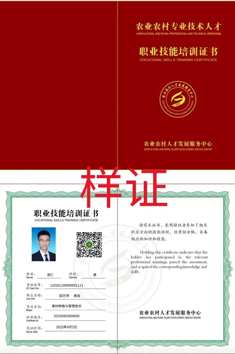 人才职业技能证书查询_1