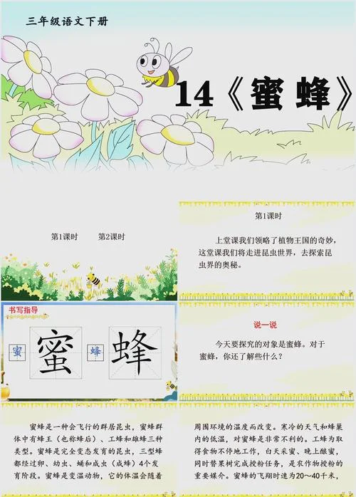 关于蜜蜂的资料说明文_2