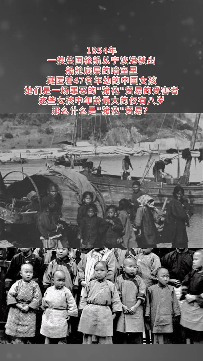 1868年历史事件-1868年历史事件