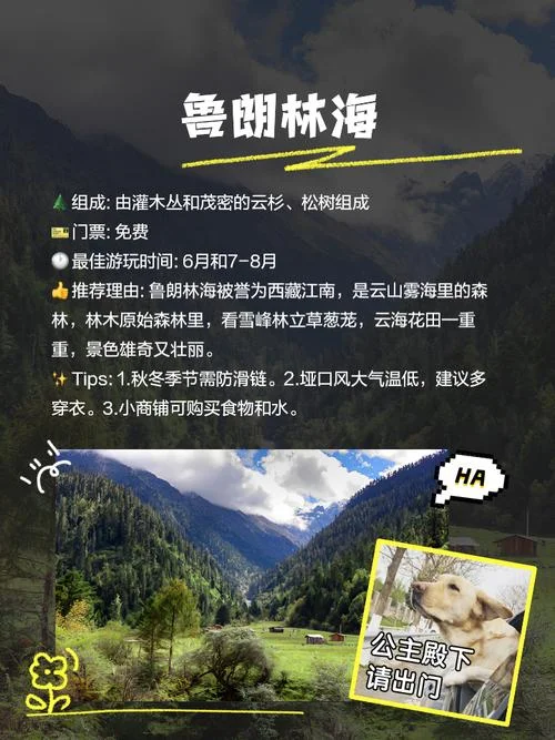 林芝景点门票_1