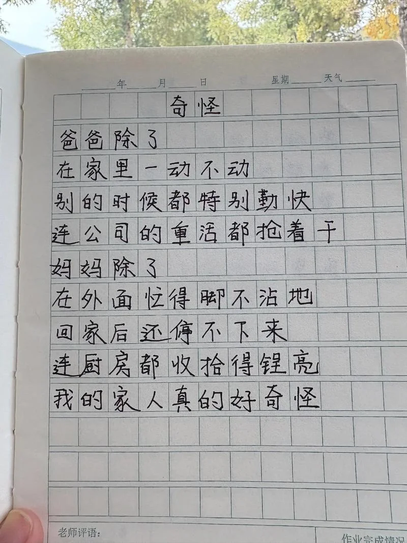 满分作文 小学-满分作文小学