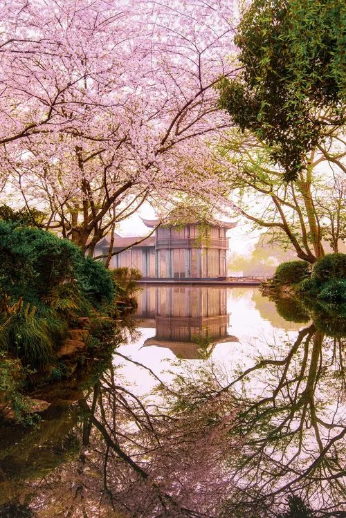 樱花留学杭州_1
