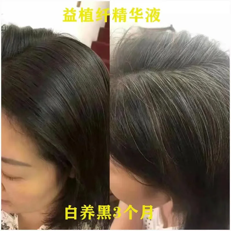 什么是白发人送黑发人-白发人送黑发人