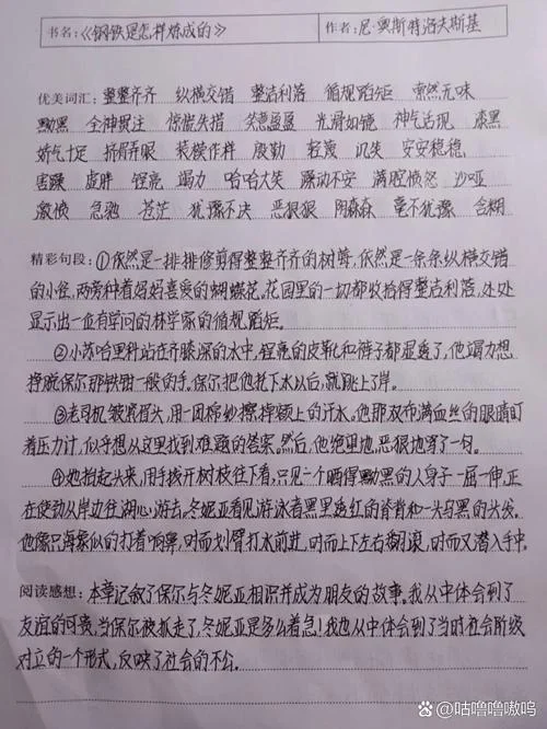 钢铁是怎样炼成的读书感悟600字_1