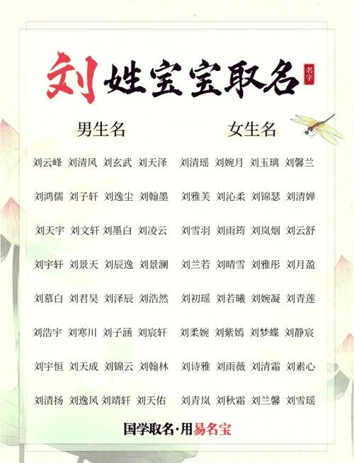 刘姓宝宝起名三个字-刘姓三字宝宝名精选