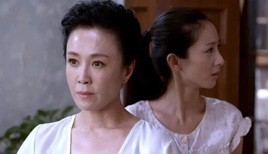 婆媳的战国时代李丽娜的结局_1