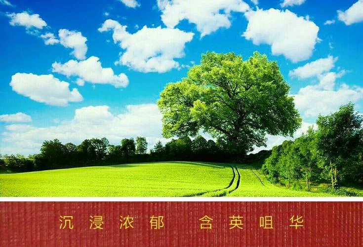 沉浸浓郁含英咀华出处-含英咀华意境深