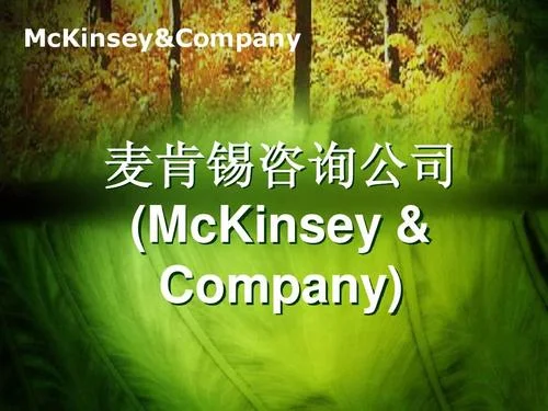 mckinsey是什么公司_2