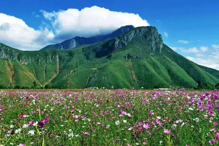 墨西超拿加沙还叫什么_1