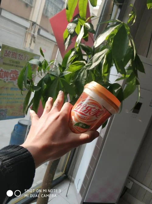 优乐美直播改名叫什么_2