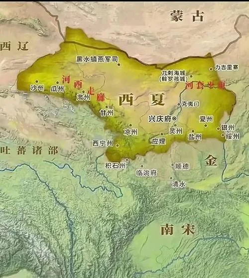西夏史的真实历史-西夏史真相