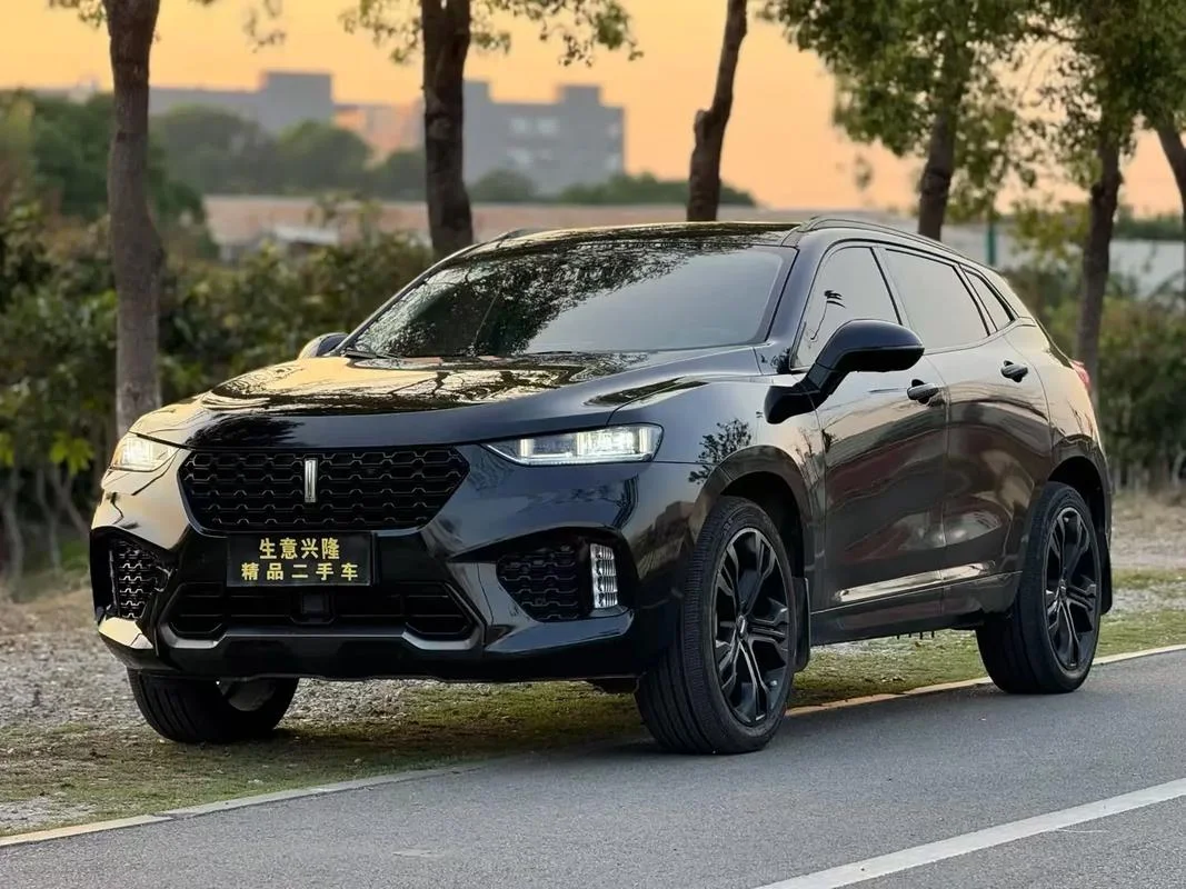 wey 叫什么车_1