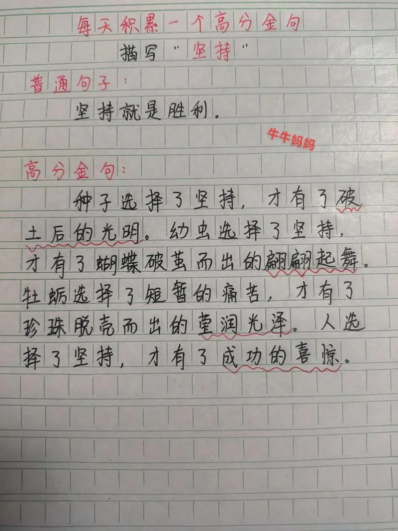 形容成绩好的句子_2