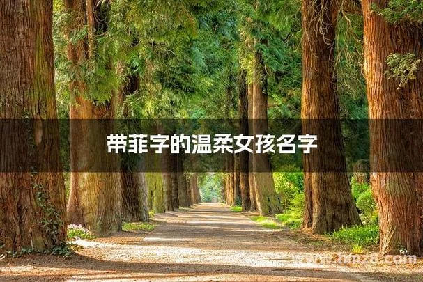 菲起名的寓意_1