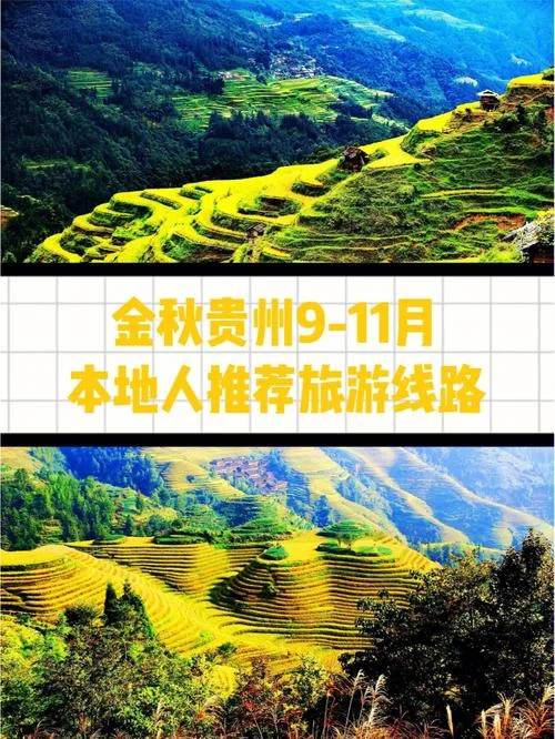 金秋是几月_1