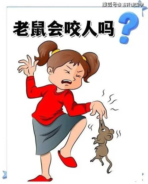 做梦被老鼠咬出血了意味着什么-老鼠咬人梦凶兆