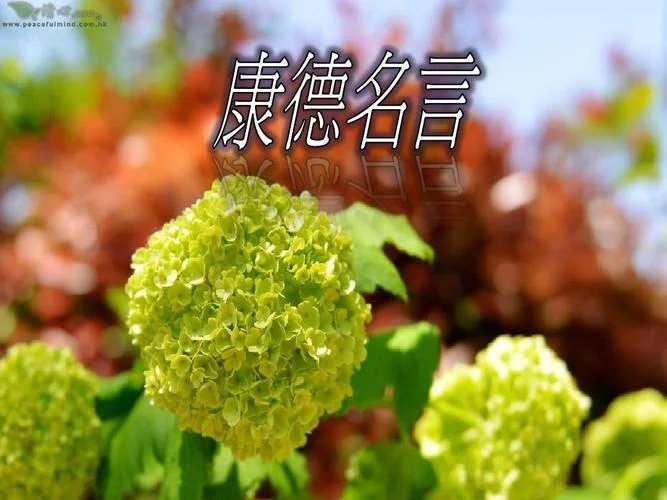 康德名言感悟短句_1