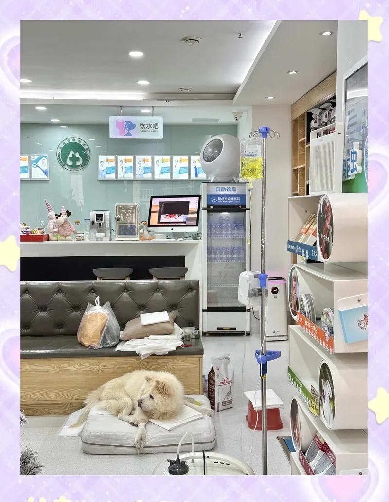 公益宠物店设计装修多少钱一平方_1