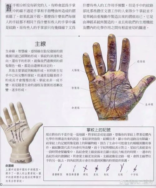 手相怎么看另一半身高_2