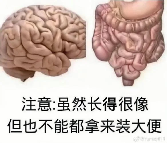 mmp还有什么意思_2