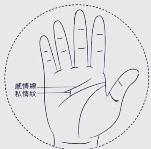 男人出轨的手相特征_1