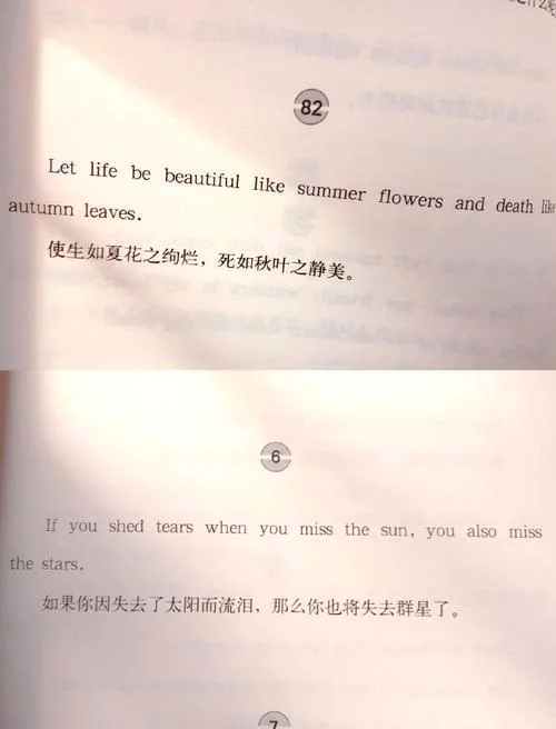 飞鸟集名句 道理_1