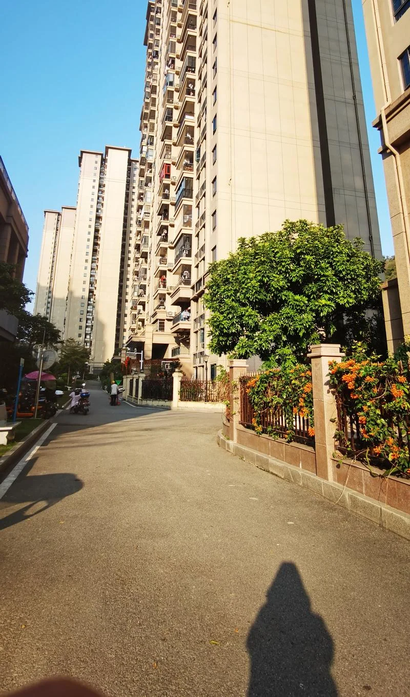 小区叫什么-小区名查询