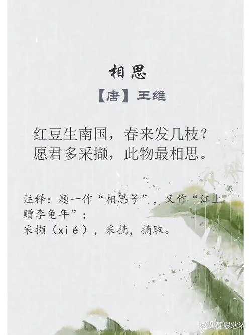 相思王维领悟的道理_1