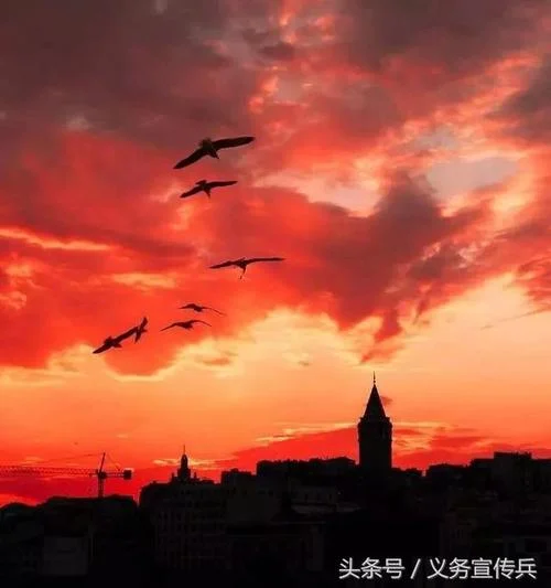人生算法课感悟-人生算法课感悟