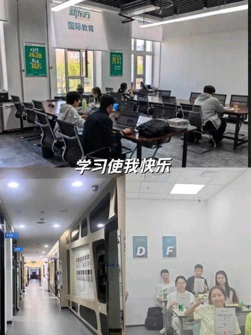 新东方留学服务平台_2