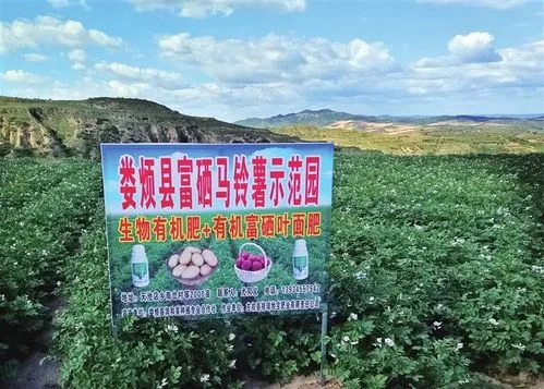 农牧合作社起名_1