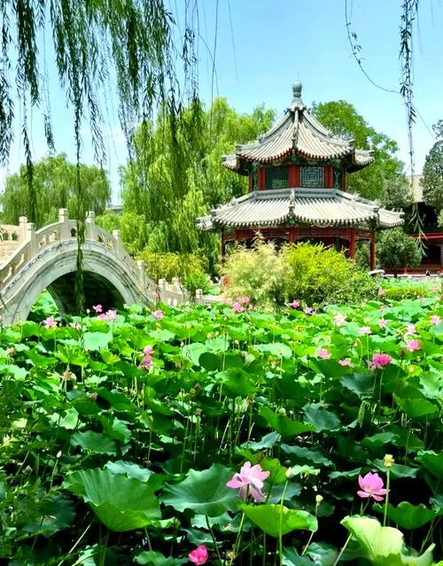 保定必去景点_2