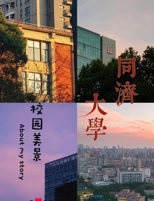 同济大学考研难吗-同济考研难度解析